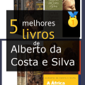 Alberto da Costa e Silva
