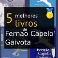 Fernão Capelo Gaivota