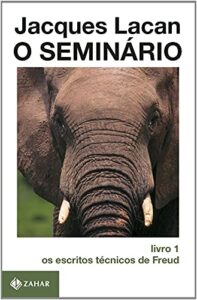 O Seminário, livro 1: Os escritos técnicos de Freud